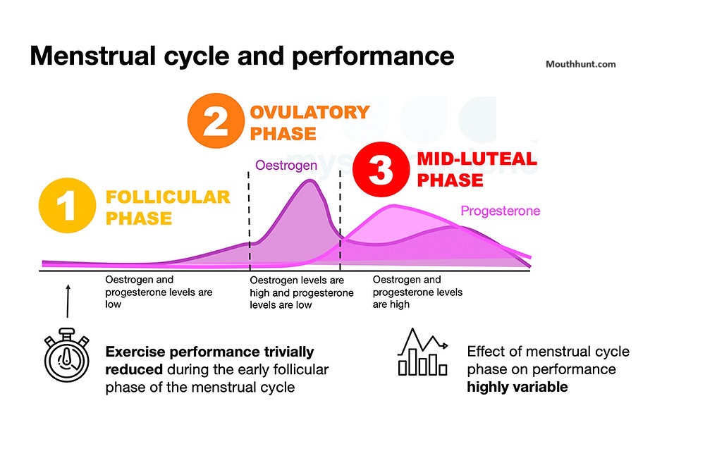 Woman menstrual cycle or a period