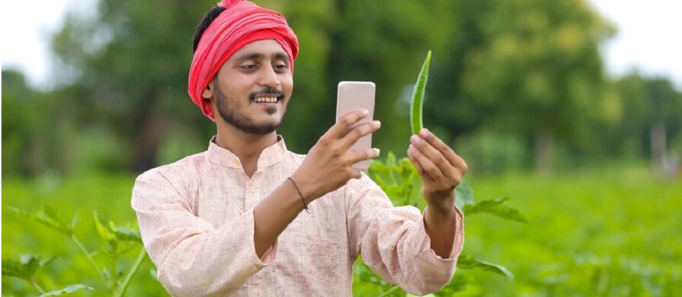 20252024indian-farmer-okra.jpg